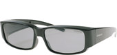 PO8100A